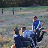 Hodges Family Farm photo