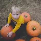 Hodges Family Farm photo
