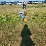Hodges Family Farm photo