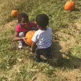 Hodges Family Farm photo