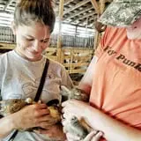 Hodges Family Farm photo