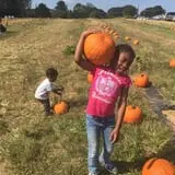 Hodges Family Farm photo