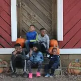 Hodges Family Farm photo