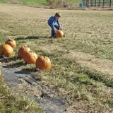 Hodges Family Farm photo