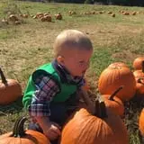 Hodges Family Farm photo