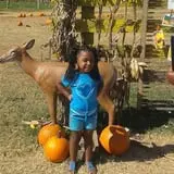 Hodges Family Farm photo