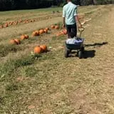 Hodges Family Farm photo