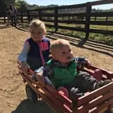 Hodges Family Farm photo