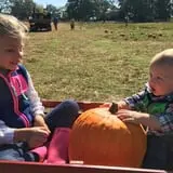 Hodges Family Farm photo