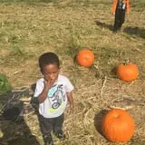 Hodges Family Farm photo