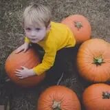 Hodges Family Farm photo