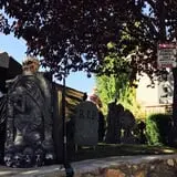 Cul-d-sack Haunt  photo