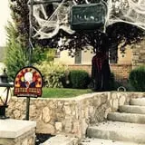 Cul-d-sack Haunt  photo