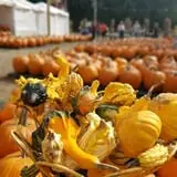 Haunted Hunt Club Farm photo