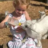 Haunted Hunt Club Farm photo