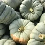 Haunted Hunt Club Farm photo