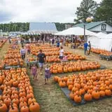 Haunted Hunt Club Farm photo