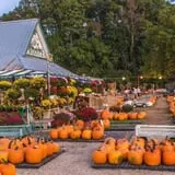 Haunted Hunt Club Farm photo