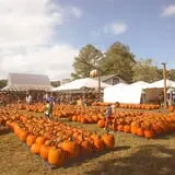 Haunted Hunt Club Farm photo