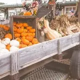 Haunted Hunt Club Farm photo