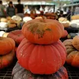 Haunted Hunt Club Farm photo
