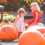 Haunted Hunt Club Farm photo