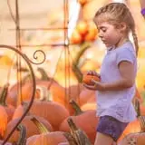 Haunted Hunt Club Farm photo
