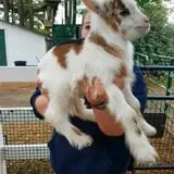 Haunted Hunt Club Farm photo