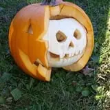 Haunted Hunt Club Farm photo