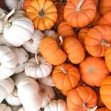 Haunted Hunt Club Farm photo