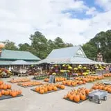 Haunted Hunt Club Farm photo