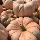 Haunted Hunt Club Farm photo