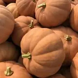 Haunted Hunt Club Farm photo