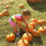 Haunted Hunt Club Farm photo