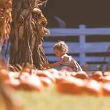 Haunted Hunt Club Farm photo
