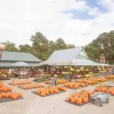 Haunted Hunt Club Farm photo