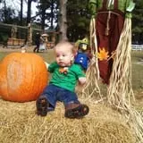 Haunted Hunt Club Farm photo