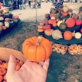 Haunted Hunt Club Farm photo