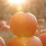 Haunted Hunt Club Farm photo