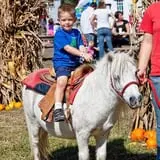 Haunted Hunt Club Farm photo