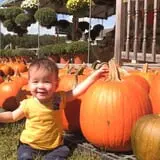 Haunted Hunt Club Farm photo
