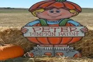Peter Pumpkin Patch