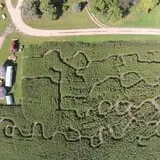 Big Stone Pumpkin Patch photo
