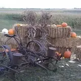 Big Stone Pumpkin Patch photo