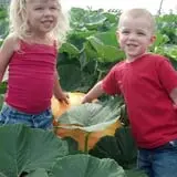 Big Stone Pumpkin Patch photo