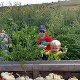 Big Stone Pumpkin Patch photo