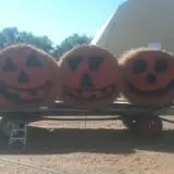 Big Stone Pumpkin Patch photo