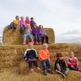 Big Stone Pumpkin Patch photo