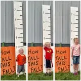 Big Stone Pumpkin Patch photo