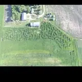 Big Stone Pumpkin Patch photo